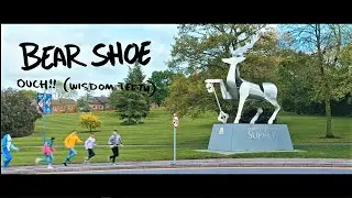 Bear Shoe - OUCH! (Wisdom Teeth) (Official Music Video)