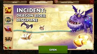 Rise of berk - Incident Dragon Rider Discipline