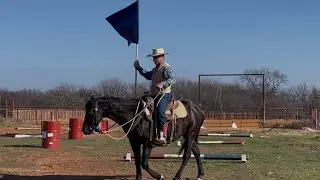 Flag Carrying Equipment for Horses