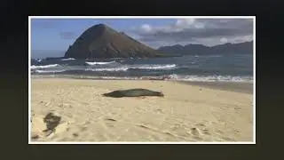Canoe Trip to the Moke Islands