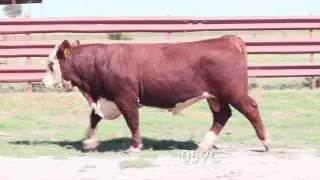 059C