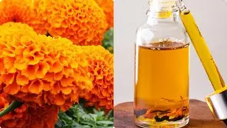 Homemade Marigold flower Skin Oil अब गेंदे के फूलों से अपनी खूबसूरती बढ़ाएं घर बैठे बैठे पाएं क़ुदरती 