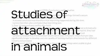 Studies of attachment in animals | Revision for Psychology A-Level and IB
