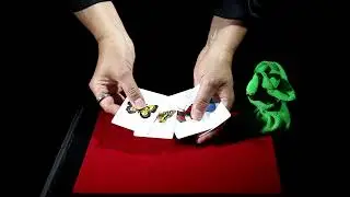 Tenyo T-262 Magic Butterfly version de Tolma 