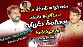 BJP Leader Raghunandan Rao Exclusive Interview | ViewPoint with Gangadhar | 99 TV Telugu