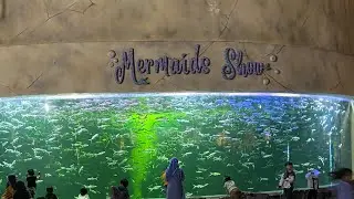 Keren, pertunjukan mermaid show di ocean dream samudra ancol - jakarta (part 2)