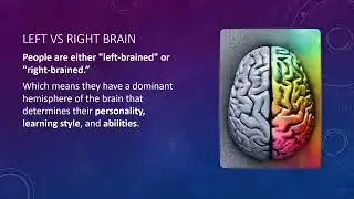 Myths & Misconceptions: The Brain & Learning