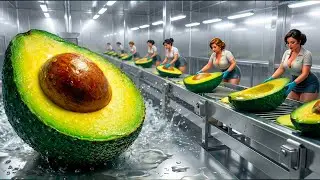 From Farm to Table: Complete Avocado Transformation Process in 15min | Satisfying ASMR