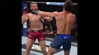 Jan Blachowicz vs Luke Rockhold