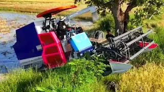 Awesome Safety Operator Skills Yanmar Harvester Driving In Deep Water Farms | Rice Cropping Machine
