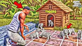 Franklin Rescue Every Innocent Tigers Babies in GTA 5 
