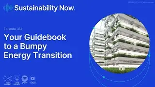 Your Guidebook to a Bumpy Energy Transition