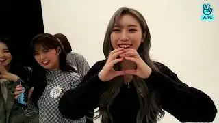 MOMOLAND ON VLIVE! - [Weekly Idol] Surprise LIVE with MOMOLAND (18.03.2019)