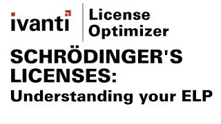 Schrödinger's licenses - understanding your Effective License Position in License Optimizer