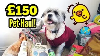&pound;150 Pet Haul! - Pets At Home Trip