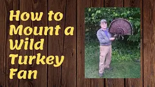 How to Mount a Wild Turkey Fan (my method)