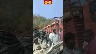 Accident in #Giddalur Nallamalla forest