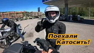 Поехали Катосить! Поля Тюльпанов