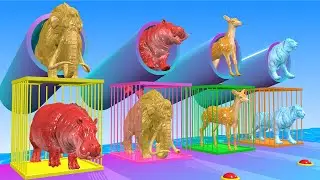 RESCUE, JOURNEY TO SUCCESS THE OBSTACLES WITH ELEPHANTS, Tigers, HIPPOs, Deer