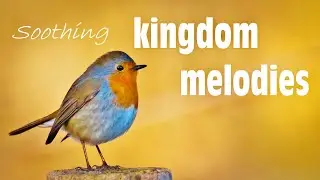 JW Songs & Kingdom Melodies - beautiful (flute) music