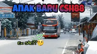 ARMADA BARU MILIK CSH88 ‼️salah satu Po yang selow tapi pasti