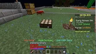 [MC] Skyblock no moonlight sensor