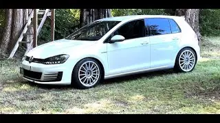MK7 GTI EQT Vortex XL - Dyno