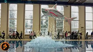 Shark Attacks a Swimming Pool | ROBOSHARK