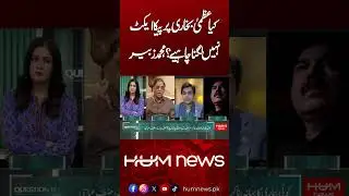Should PECA Be Applied to Uzma Bukhari? Muhammad Zubair Raises Question | Hum News | Pakistan