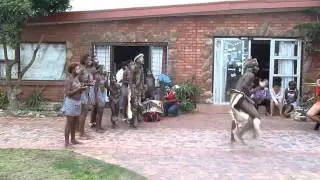 Local Dancers @ Island Vibe