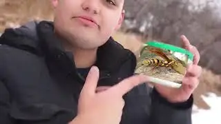 STUNG by a EXECUTIONER WASP! PARODY (ADAM3817 REUPLOAD)