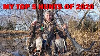 Best Hunts of 2020