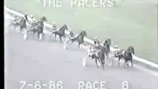 Dixboro Dynamite 1986 Saginaw Valley Downs
