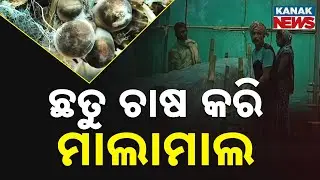 Odisha Farmer Turns Entrepreneur With Mushroom Farming | Generating Jobs After Training