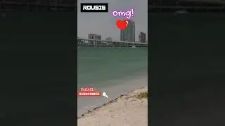🔴🔴🔴 #videosfrommiami #miamivideo #Shorts