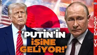 'Putin'in İşine Geliyor!' Trump Gözünü Grönland'a Dikti! Kremlin'in Hamlesini Uzman İsim Anlattı
