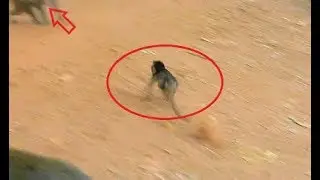 MG- Small Baby Julina Shout Shout Loudly Run so fast To mom Help, Look very Pity Julina, What Happen