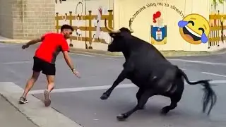TRY NOT TO LAUGH 😂 Funniest Memes That Will Make You Cry 😆 #05