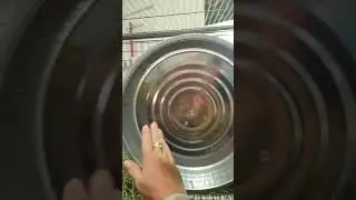 New prairie dog wheel for the kids