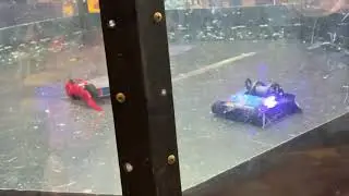 Mega Catnip Fight at National Championship!