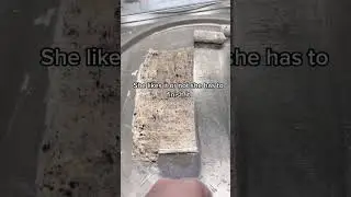 Revealing the regular customer