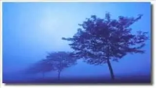 Chaim - Blue Shadow (Original Mix)