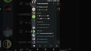 °The Loop° Discord Server Review