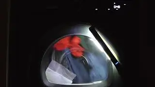 Shirts cycle on Iron Dry and Low Heat - Bosch Series 6 Heat Pump Tumble Dryer
