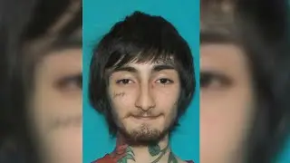 Highland Park mass shooter wore women's clothes as disguise: full video