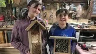 Kids woodworking project- solidarity bee habitat