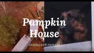 Pumpkin House - эпический переезд (часть I)