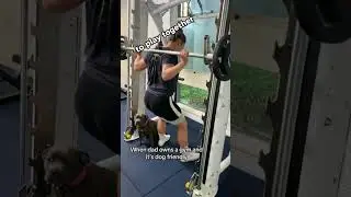 Dog Friendly Gym Fun Exercising with Furry Friends 👏