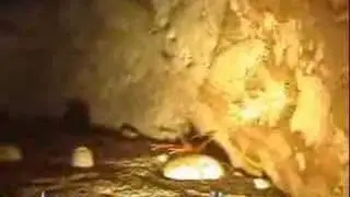 immersione grotta del soffio con salento diving leuca