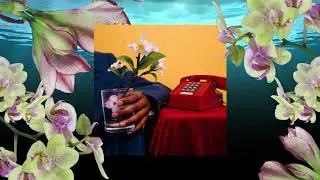 Saba - Something in the Water ft. Denzel Curry (Visualizer)